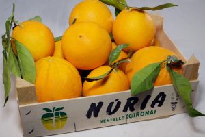caja naranjas ecologicas prueba1