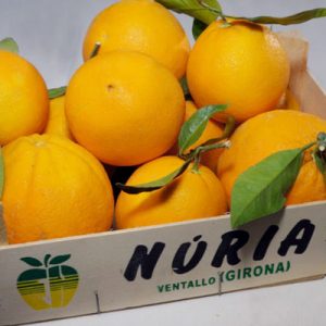 caja naranjas ecologicas prueba1